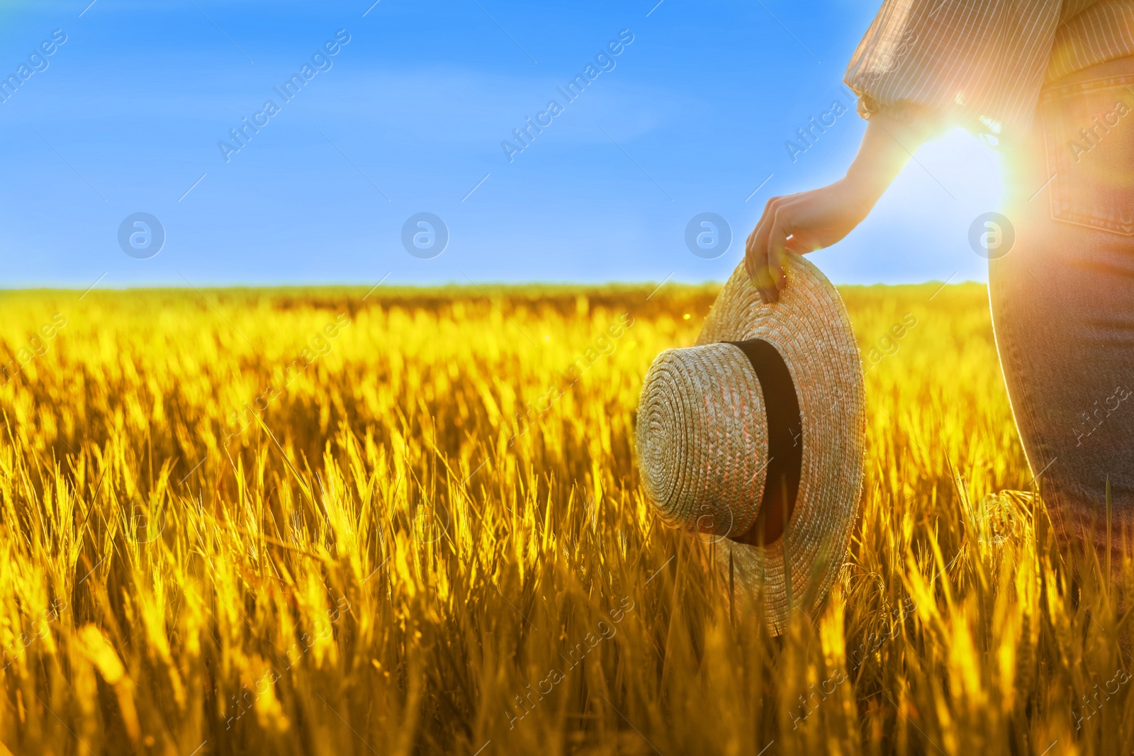 Image of Ukrainian flag. Woman with straw hat in yellow wheat field under blue sky on sunny day, closeup