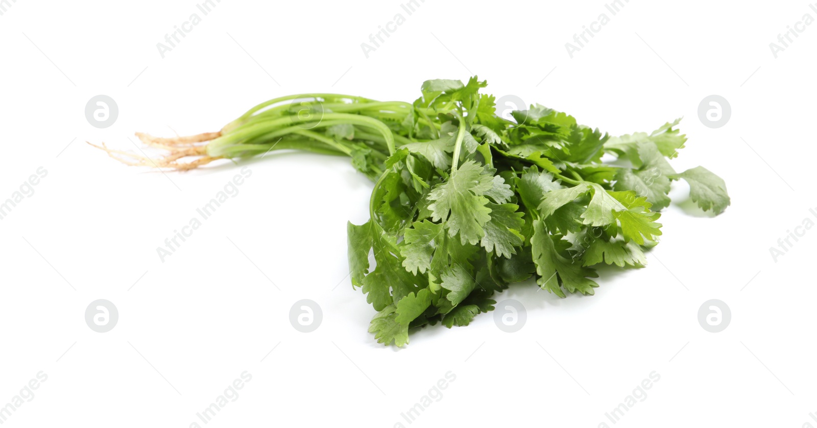 Photo of Bunch of fresh coriander on white background