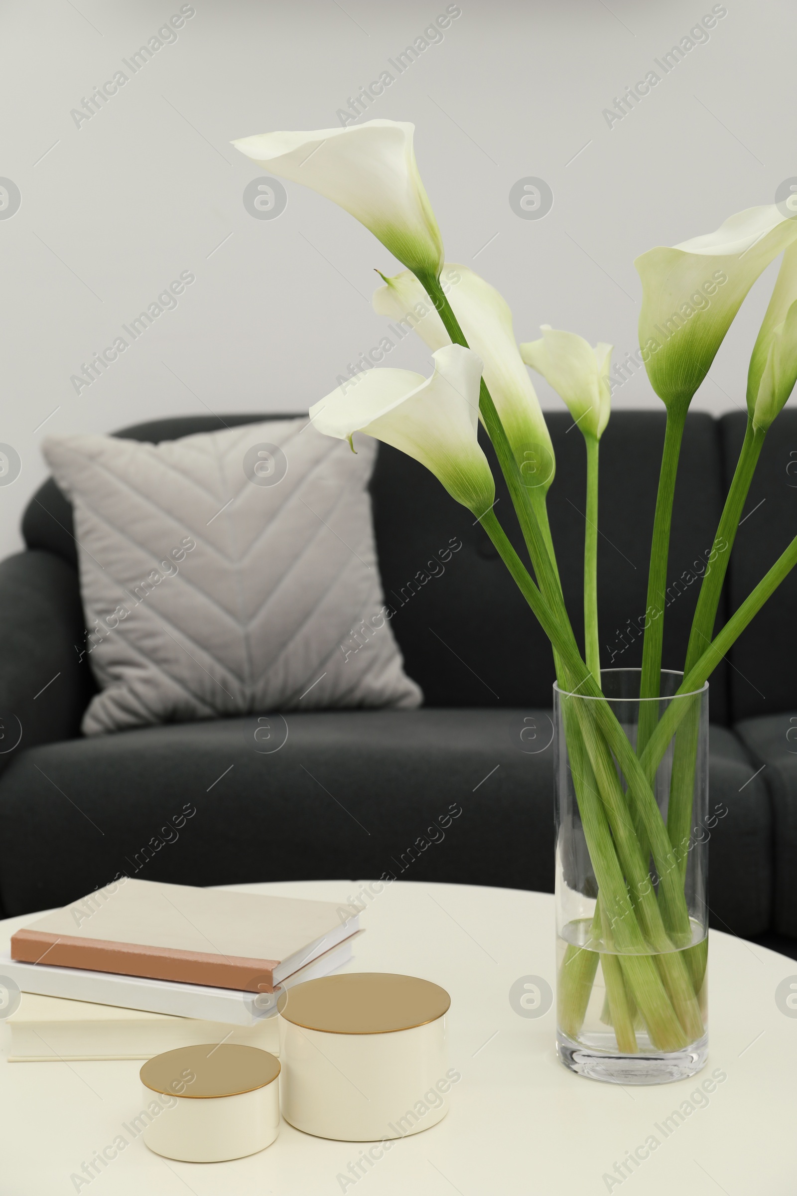 Photo of Beautiful calla lily flowers in glass vase, boxes and books on white table at home