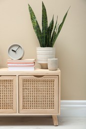 Beautiful plant in pot and different accessories on wooden commode near beige wall indoors. Interior design