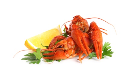 Photo of Delicious red boiled crayfishes with lemon and parsley isolated on white