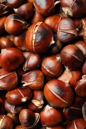 Photo of Pile of delicious edible roasted chestnuts as background, top view