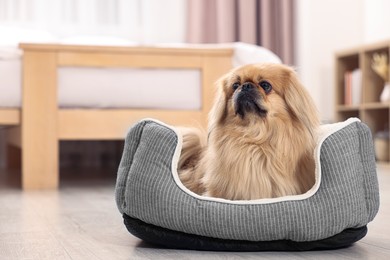 Photo of Cute Pekingese dog on pet bed in room, space for text