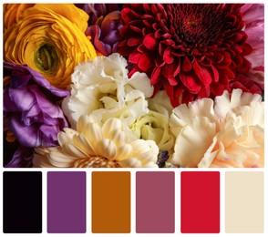 Beautiful fresh flowers and color palette. Collage