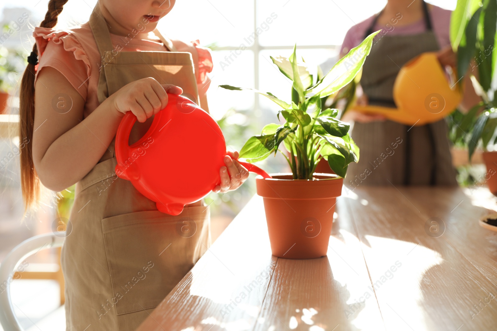 Photo of Mother and daughter watering home plants at wooden table indoors, closeup