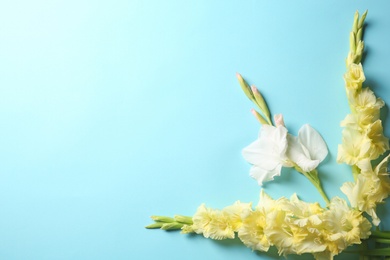 Photo of Flat lay composition with beautiful gladiolus flowers on color background