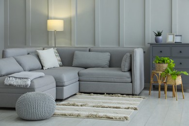 Photo of stylish living room interior with comfortable grey sofa and plants