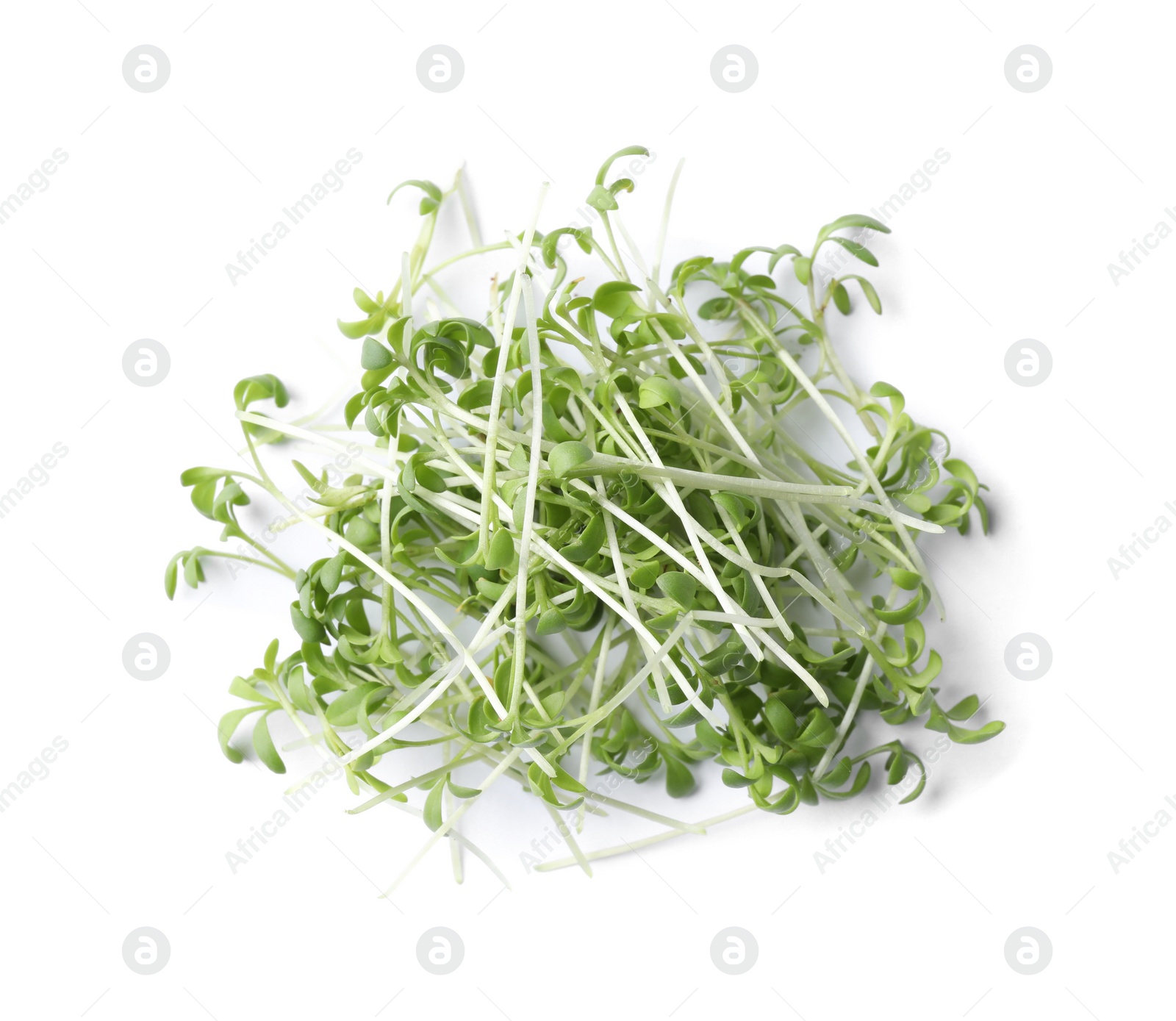 Photo of Heap of fresh organic microgreen on white background, top view