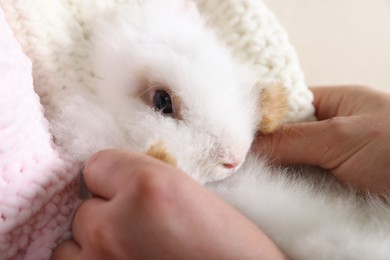 Photo of Owner with fluffy white rabbit, closeup. Cute pet