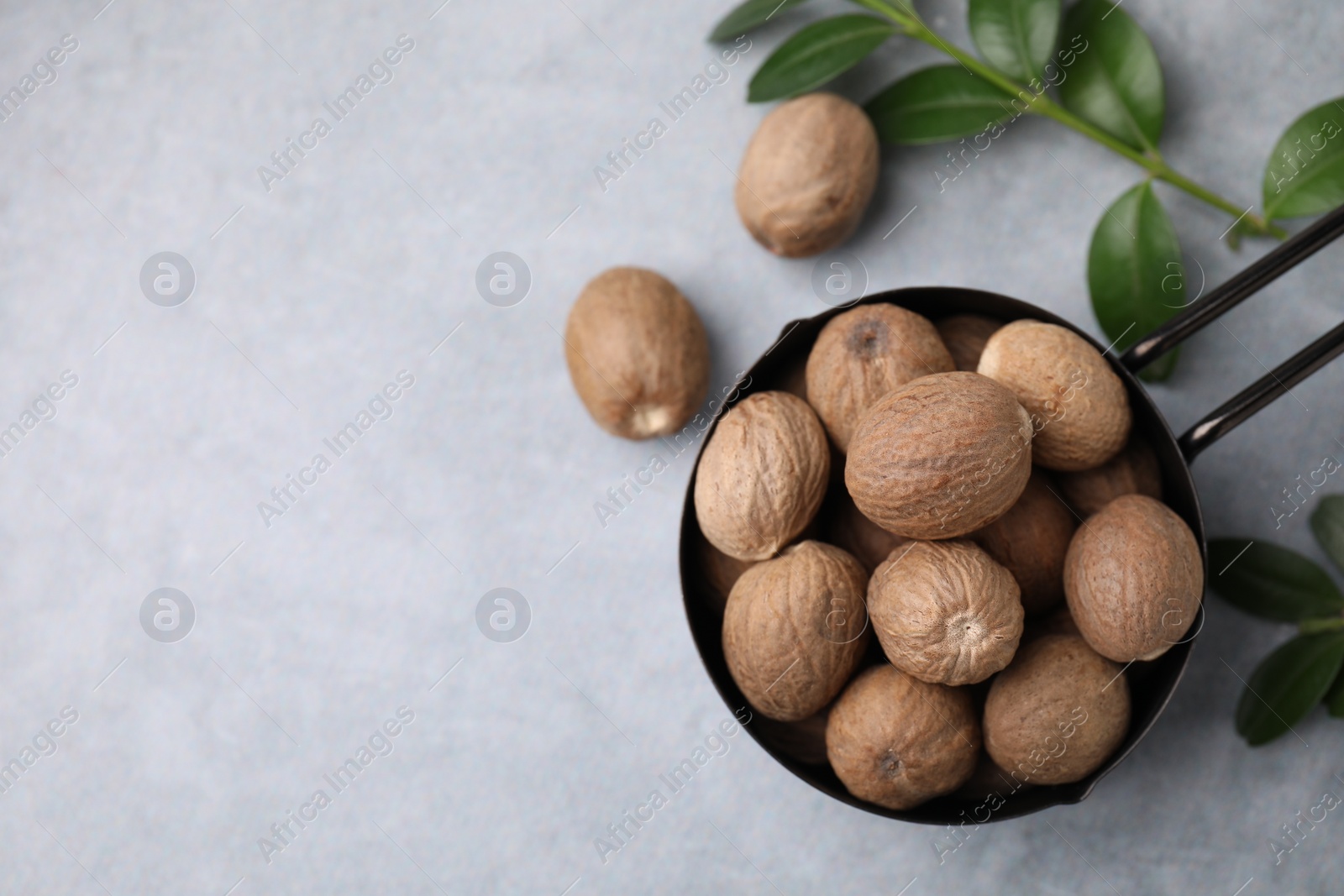 Photo of Whole nutmegs in small saucepan and green branches on light table, flat lay. Space for text