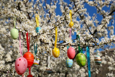 Beautifully painted Easter eggs hanging on blooming cherry tree outdoors