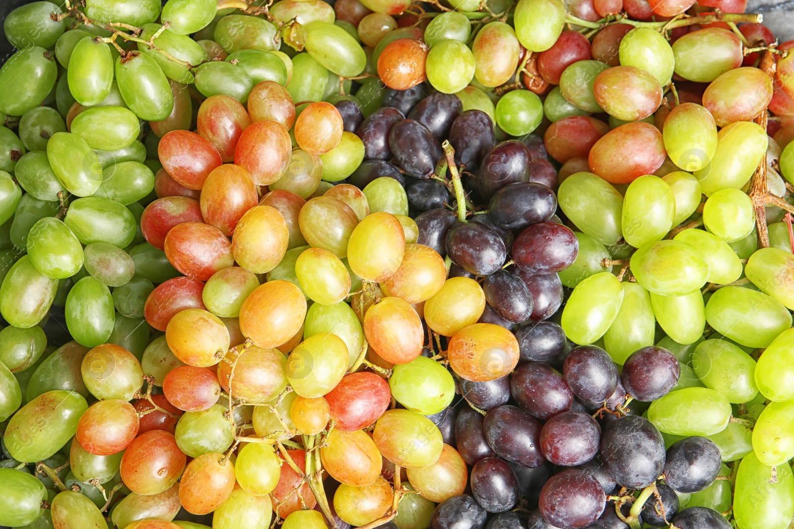 Photo of Fresh ripe juicy grapes as background, closeup