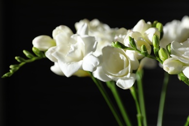 Photo of Beautiful bouquet with freesia flowers on black background, closeup