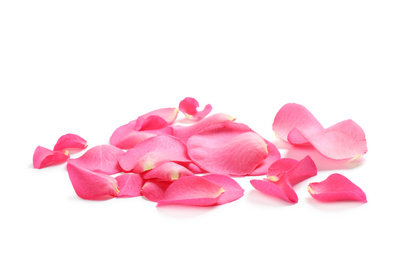 Photo of Fresh pink rose petals on white background