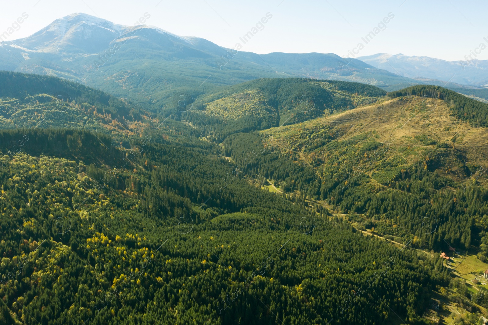 Image of Beautiful mountains covered with forest on sunny day. Drone photography