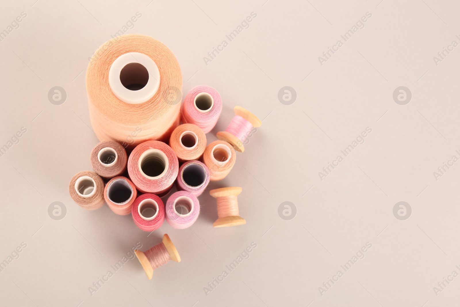 Photo of Different shades of pink sewing threads on light background, flat lay. Space for text