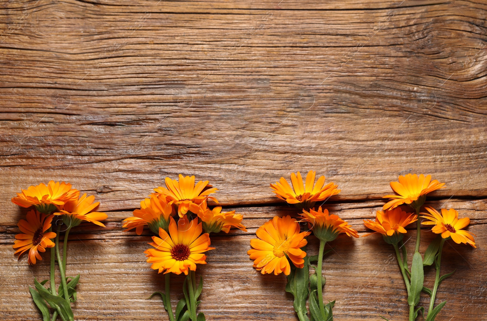 Photo of Beautiful fresh calendula flowers on wooden table, flat lay. Space for text