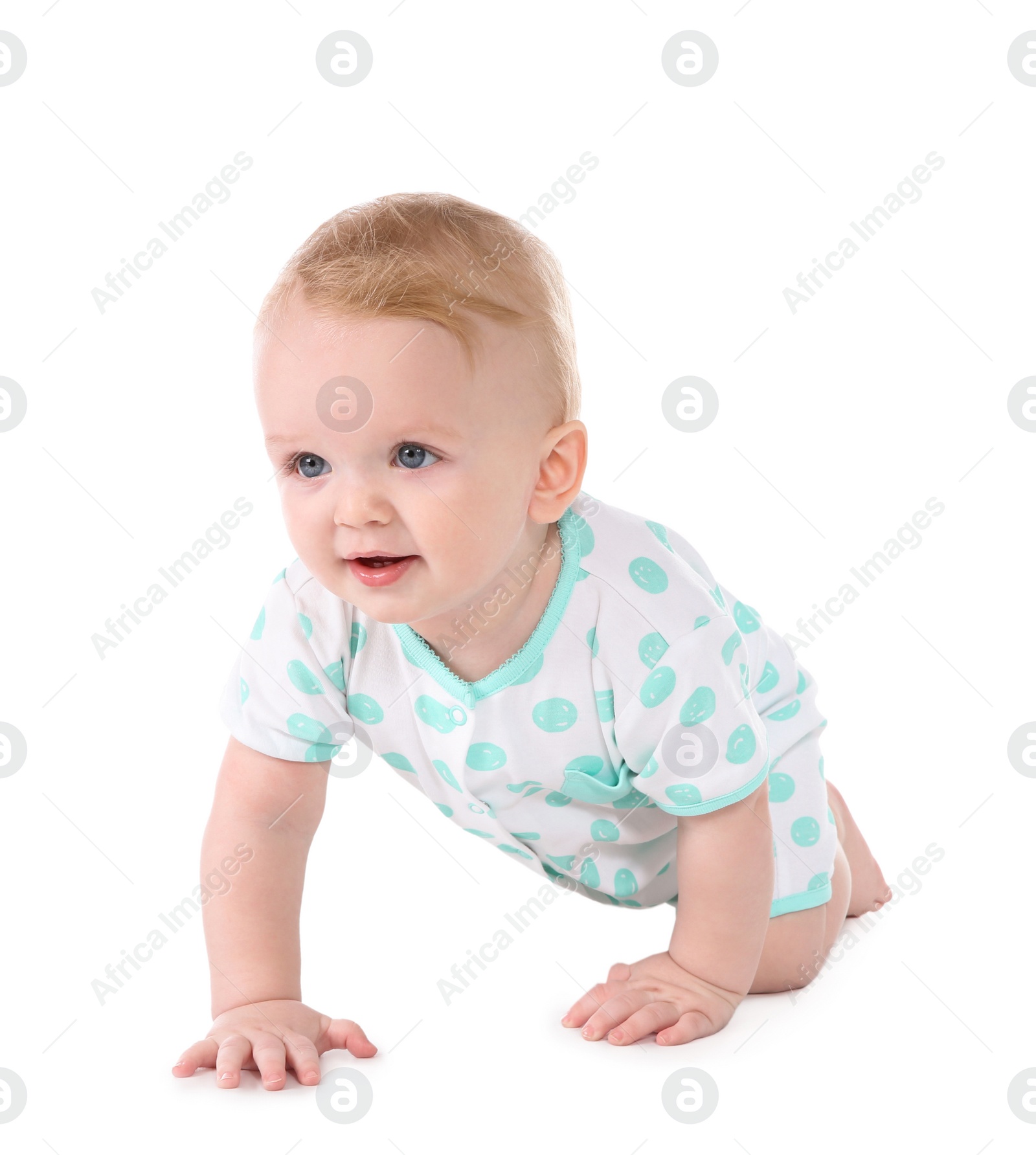 Photo of Cute little baby crawling on white background