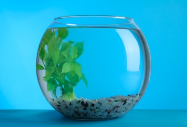 Fish bowl with water, decorative plant and pebbles on blue background
