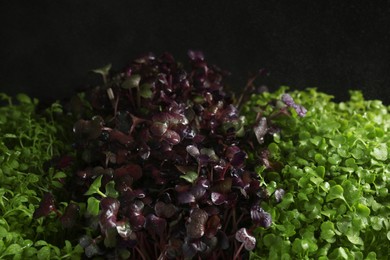 Photo of Different fresh microgreens on dark background, closeup