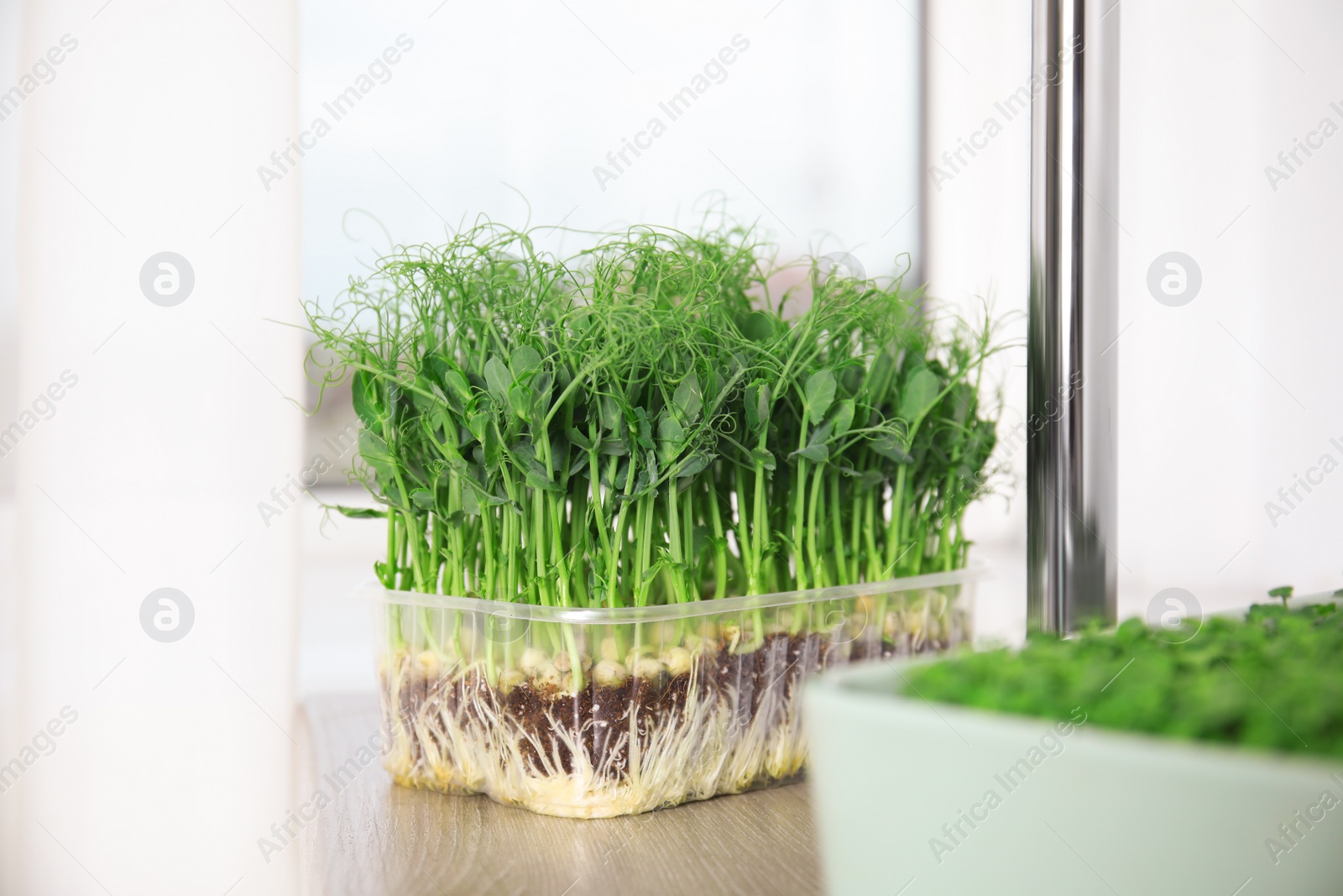 Photo of Fresh organic microgreen on wooden table indoors