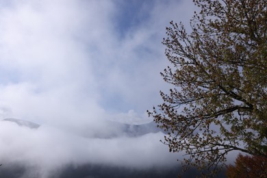 Photo of Picturesque view of beautiful mountains covered with fog