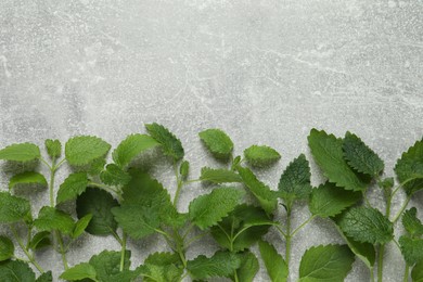 Fresh green lemon balm leaves on light grey table, flat lay. Space for text