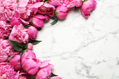 Fragrant peonies on marble background, flat lay with space for text. Beautiful spring flowers