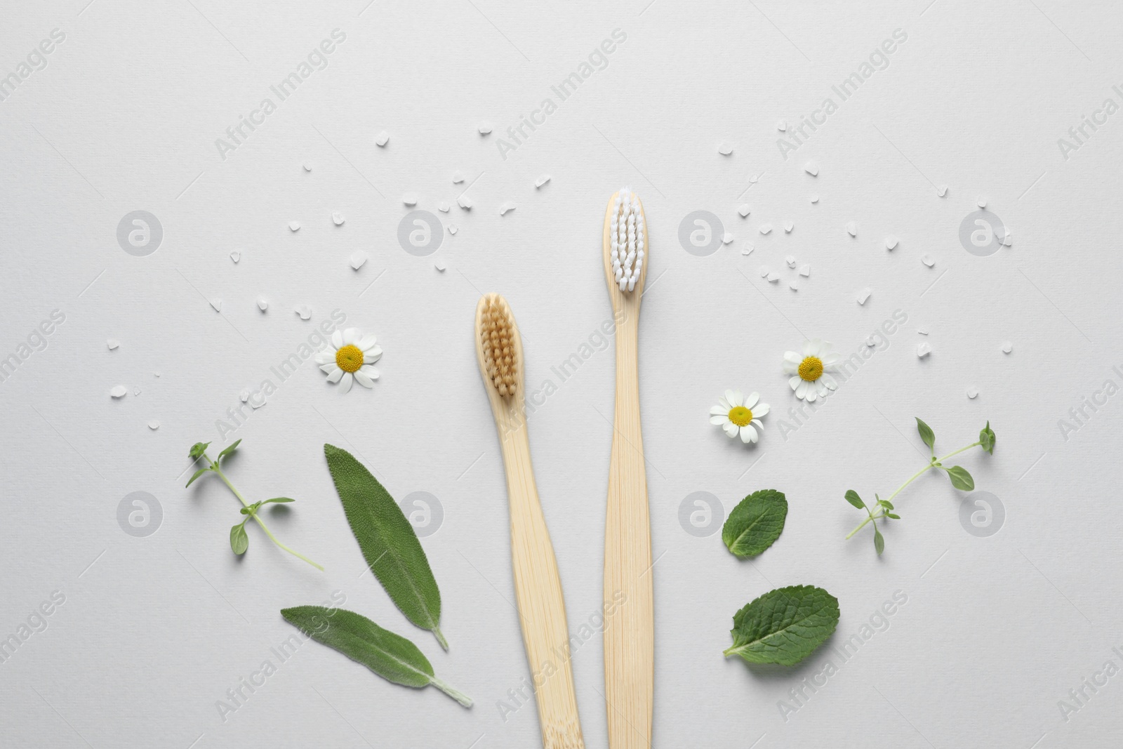 Photo of Bamboo toothbrushes, beautiful chamomile flowers, sea salt and herbs on white background, flat lay