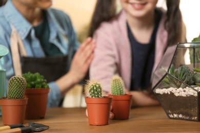 Mother and daughter taking care of potted plants at home, closeup