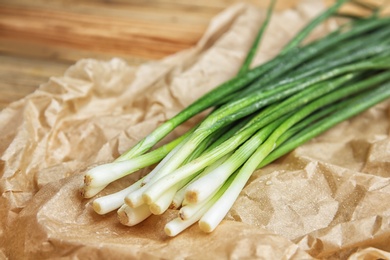 Photo of Fresh green onion on parchment, closeup