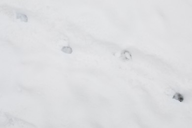 Animal trails on snow outdoors, top view