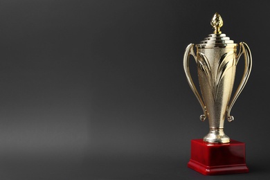 Photo of Golden trophy cup on grey background. Space for text