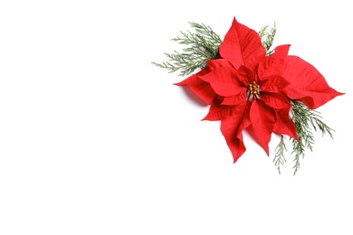 Photo of Flat lay composition with poinsettia and space for text on white background. Traditional Christmas flower