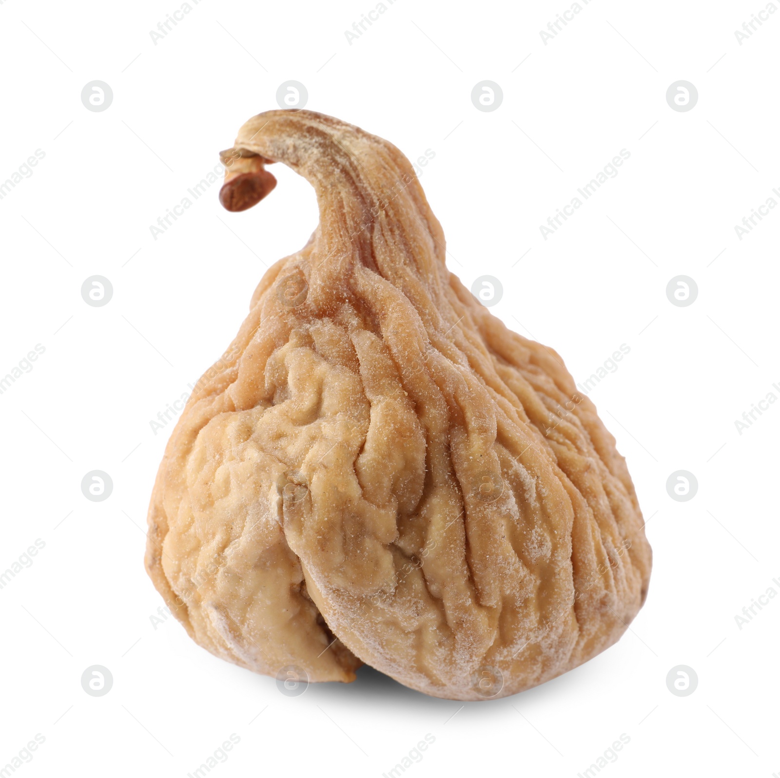 Photo of One tasty dried fig isolated on white