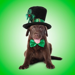 St. Patrick's day celebration. Cute Chocolate Labrador puppy with leprechaun hat and bow tie on green background