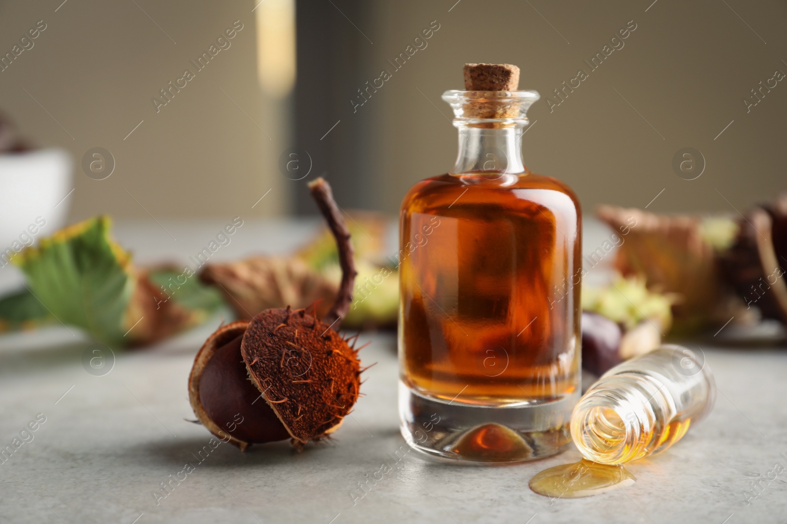 Photo of Horse chestnut and bottles of tincture on grey table