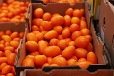 Many fresh kumquats in cardboard containers at wholesale market, closeup
