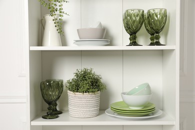 Photo of Different clean dishware and houseplant on shelves in cabinet indoors