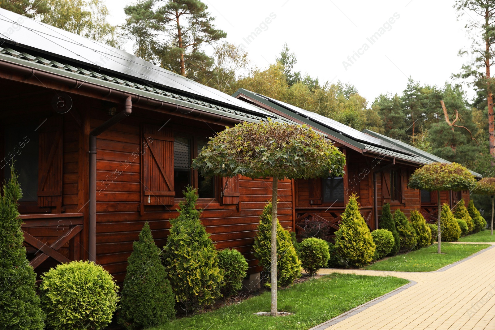 Photo of Beautiful wooden beach houses and green trees outdoors