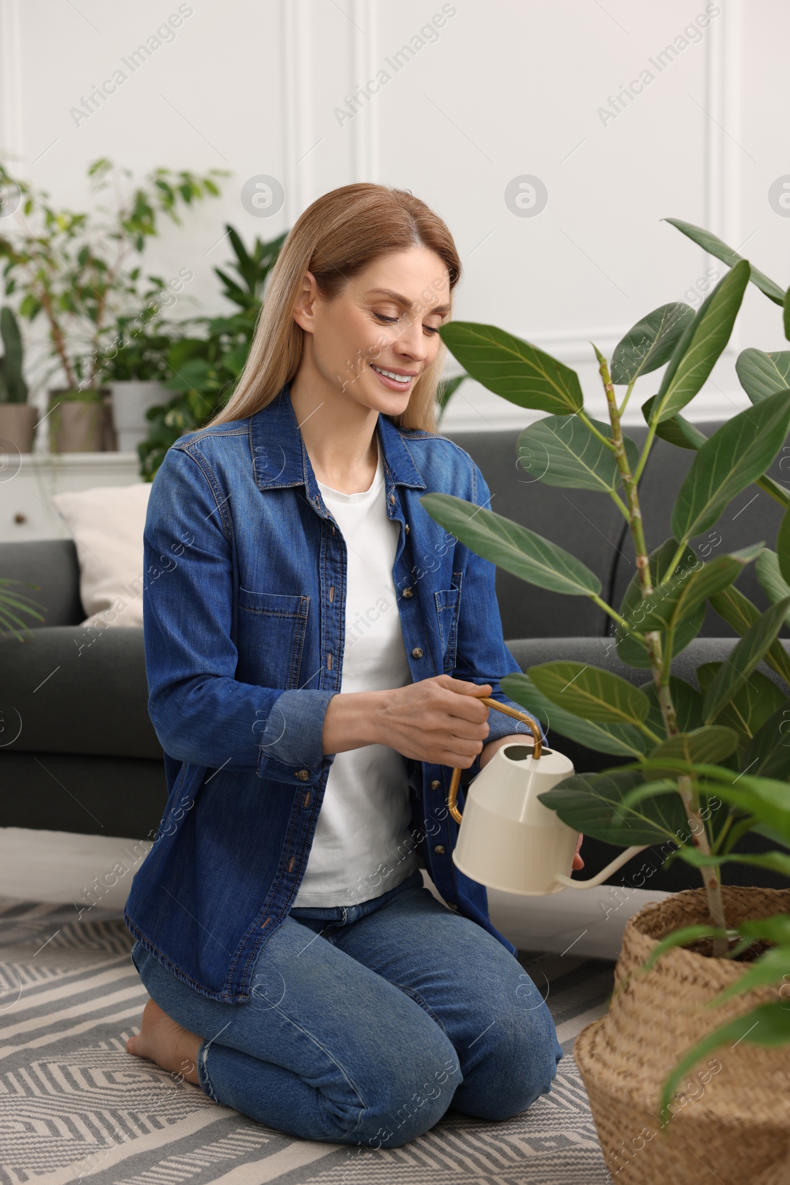 Photo of Woman watering beautiful potted houseplants at home