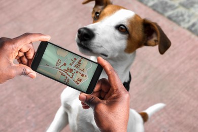 Image of Application to find pet by identification chip. African American man using smartphone near dog with collar outdoors, closeup