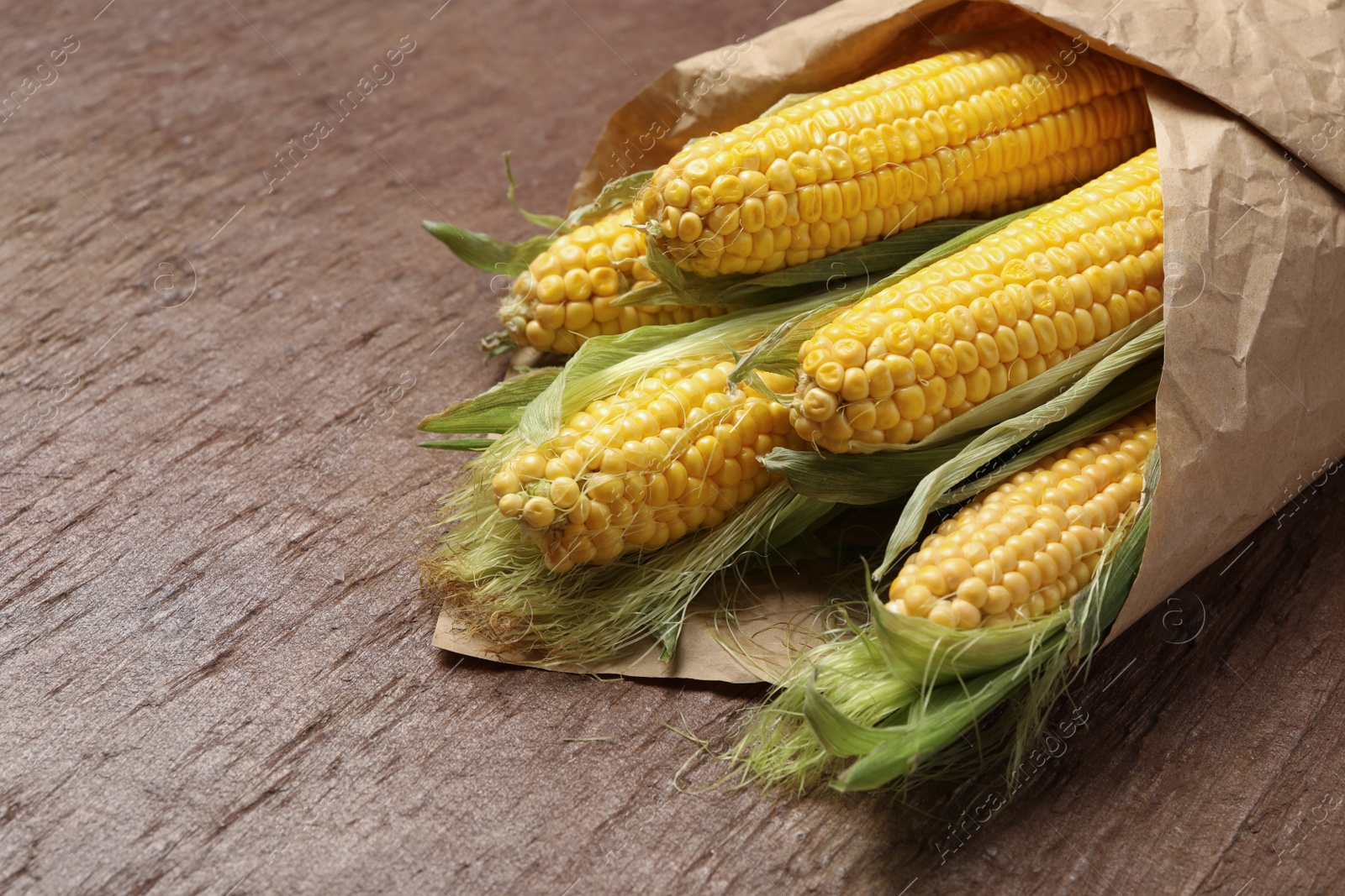 Photo of Corn cobs wrapped in parchment on table, closeup