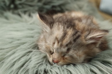 Photo of Cute kitten sleeping on fuzzy rug. Baby animal