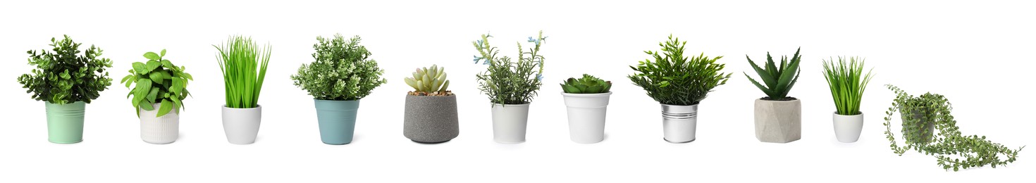 Image of Set of artificial plants in flower pots isolated on white