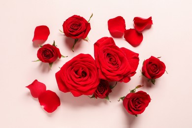 Beautiful red roses and petals on pale pink background, flat lay