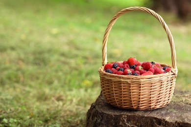Photo of Wicker basket with different fresh ripe berries outdoors, space for text