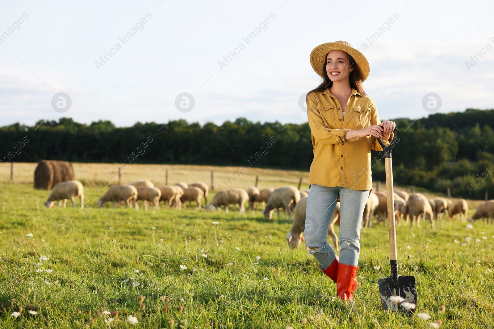 Photo of Portrait of smiling woman with shovel on pasture at farm. Space for text