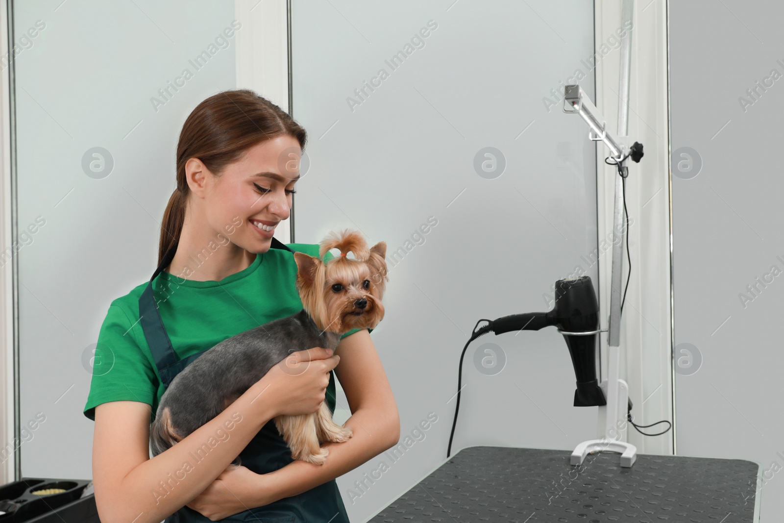 Photo of Professional groomer with cute dog in pet beauty salon. Space for text