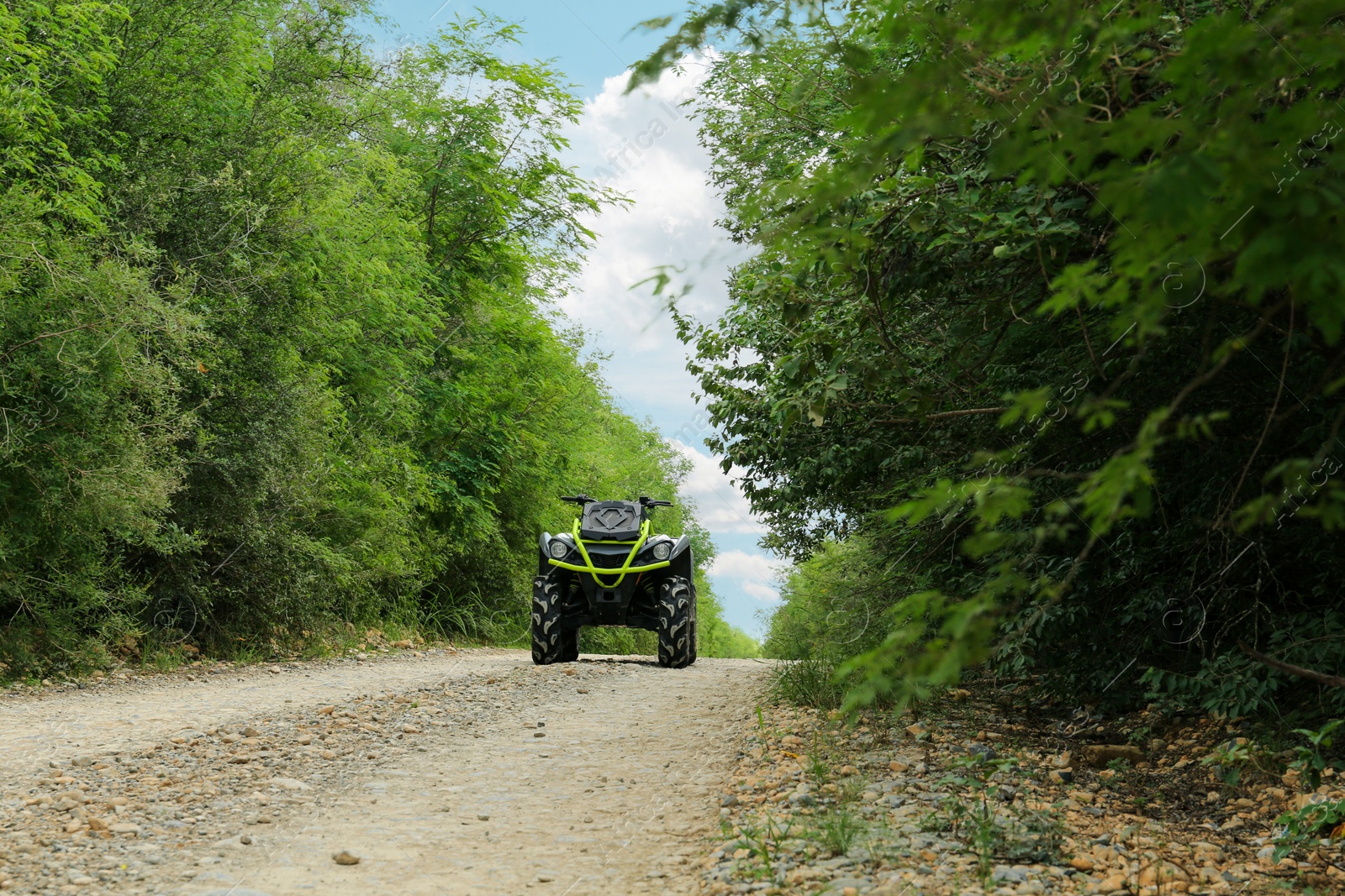 Photo of Modern quad bike on pathway near trees outdoors